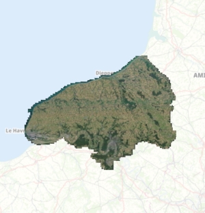 overview