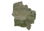 orthophoto